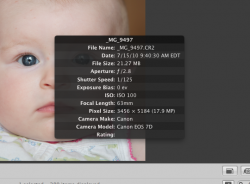 Screen shot 2010-07-15 at 5.31.27 PM.png