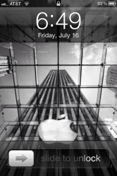 photo.PNG