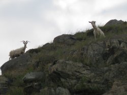 IMG_0265.JPG