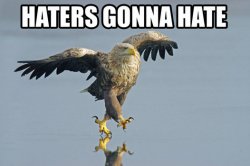 haters[1].jpg