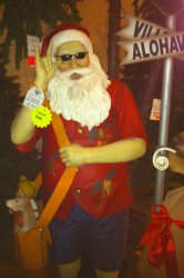 Hawaiian santa snap.jpg