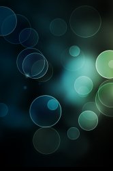 Bokeh iPhone.jpg