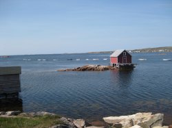 IMG_0207.JPG