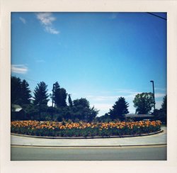 IMG_0104.jpg