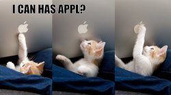 ICanHasApple.jpg
