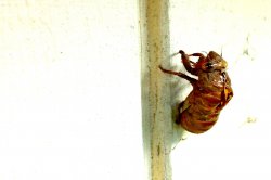IMG_0117.JPG