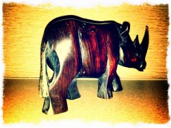 Rhino2.JPG