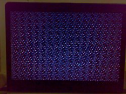 3080169194_6cc4eaafe0_b.jpeg
