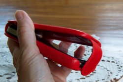 Piel Frama 25 07302010 (1).jpg
