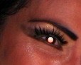 white-eye-small.jpg