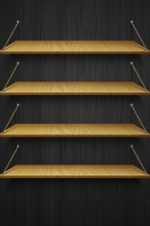 210 iPhone.png