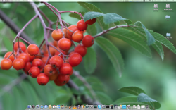 Screen shot 2010-08-03 at 21.12.42.png