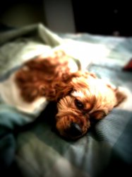 IMG_0127.JPG