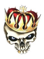 skull1.jpg