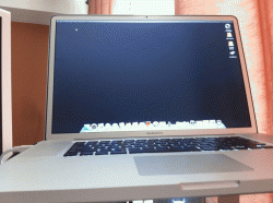 photo-2.gif