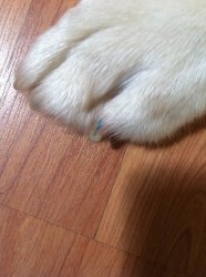g toe nail polish.jpg