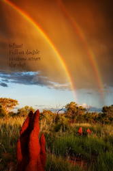 Double Rainbow.png