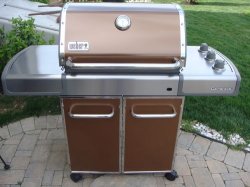 BBQ1.jpg