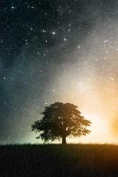 01968_cosmosition_1920x1200.jpg
