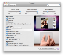 Screen shot 2010-08-11 at 4.17.52 PM.png