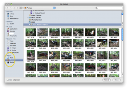 Screen shot 2010-08-15 at 2.00.37 PM.png