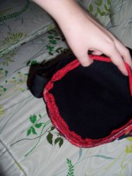 100_1808.jpg