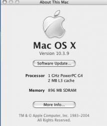 Picture-1.jpg