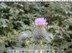 AugustWVJDesktop.jpg