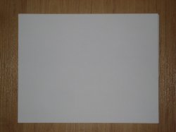 IMG_6560 copy.jpg