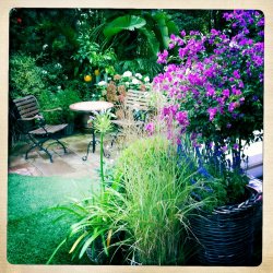 gardens_01.jpg