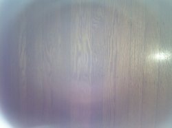 photo 1.JPG
