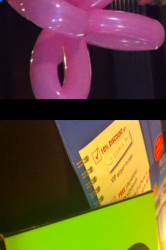 photo5.PNG