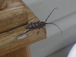 DSCF2579.jpg