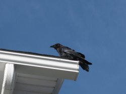 IMG_0326.JPG