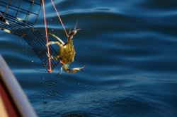 IMG_0189.jpg