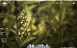 Screen shot 2010-09-01 at 11.30.42 PM.jpg