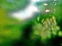 IMG_0006_2.jpg