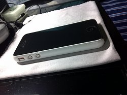 IMG-20100902-00012.jpg