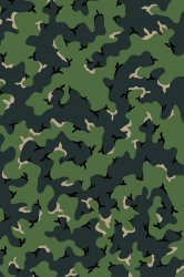 Camouflage_Pattern.jpg