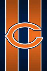 Bears1.png