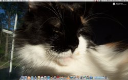 Screen shot 2010-09-05 at 2.11.26 AM.jpg