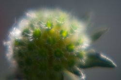 DSC_0257.jpg