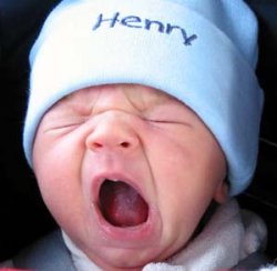 the-yawn.JPG