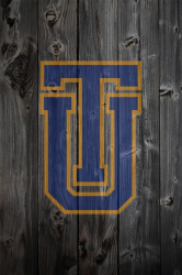 TulsaWood2.png