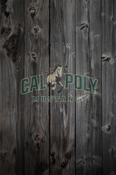 CalPolyWood.png