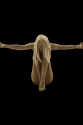 _nologo_7352b.png