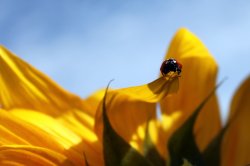 IMG_1880.jpg