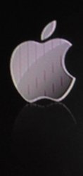 logo-lines.jpg