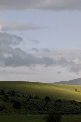 02276_ochocorainbow_2.jpg