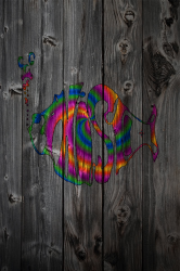 PhishColorWood.png